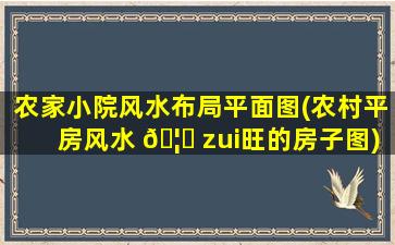 农家小院风水布局平面图(农村平房风水 🦟 zui
旺的房子图)